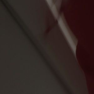 Meet your Posher, Bella